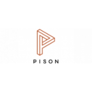 Pison Technology Inc